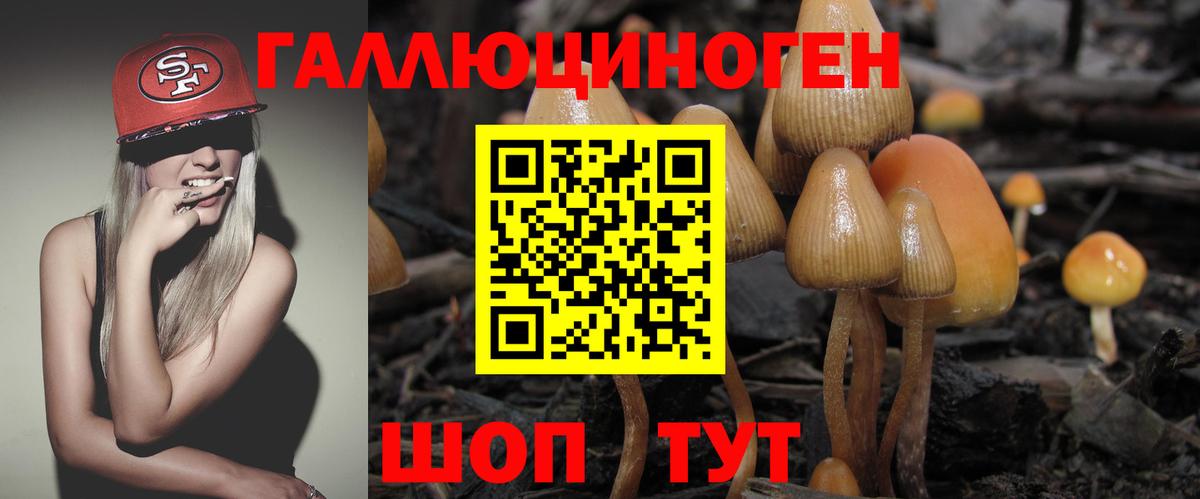 Псилоцибиновые грибы Cubensis Кизляр